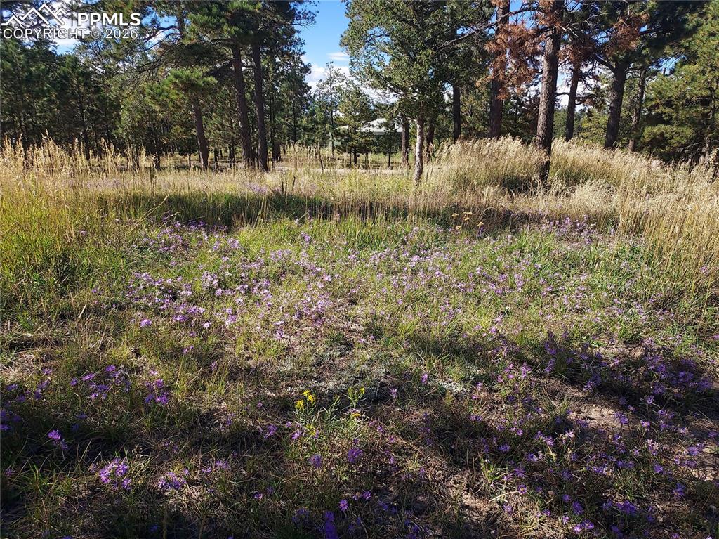 13395 Frank Road Colorado Springs CO 80908