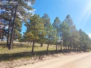 13395 Frank Road Colorado Springs CO 80908