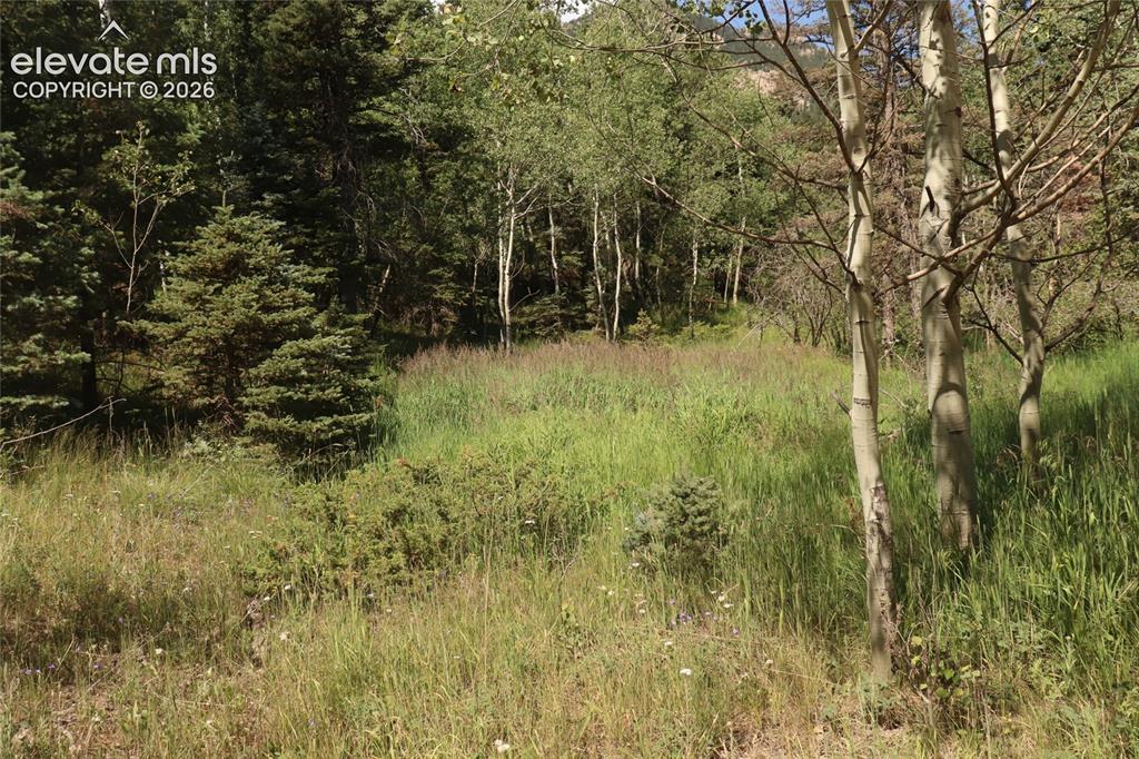 286 Coffee Road Manitou Springs CO 80829