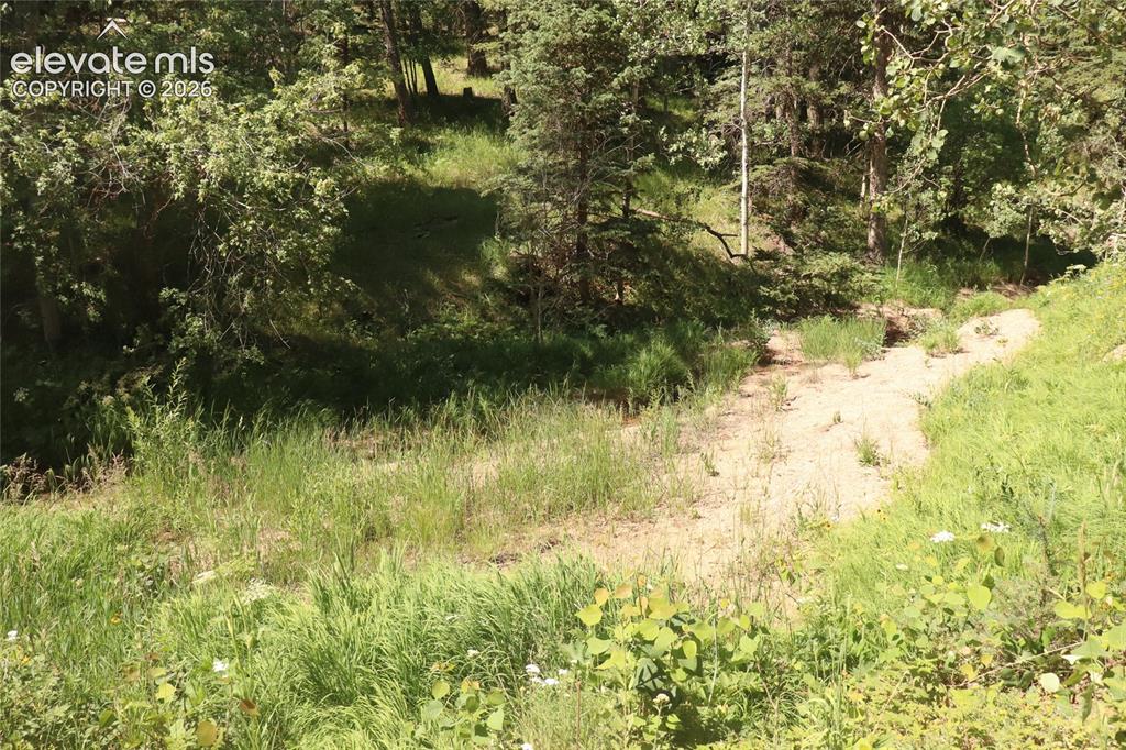 286 Coffee Road Manitou Springs CO 80829