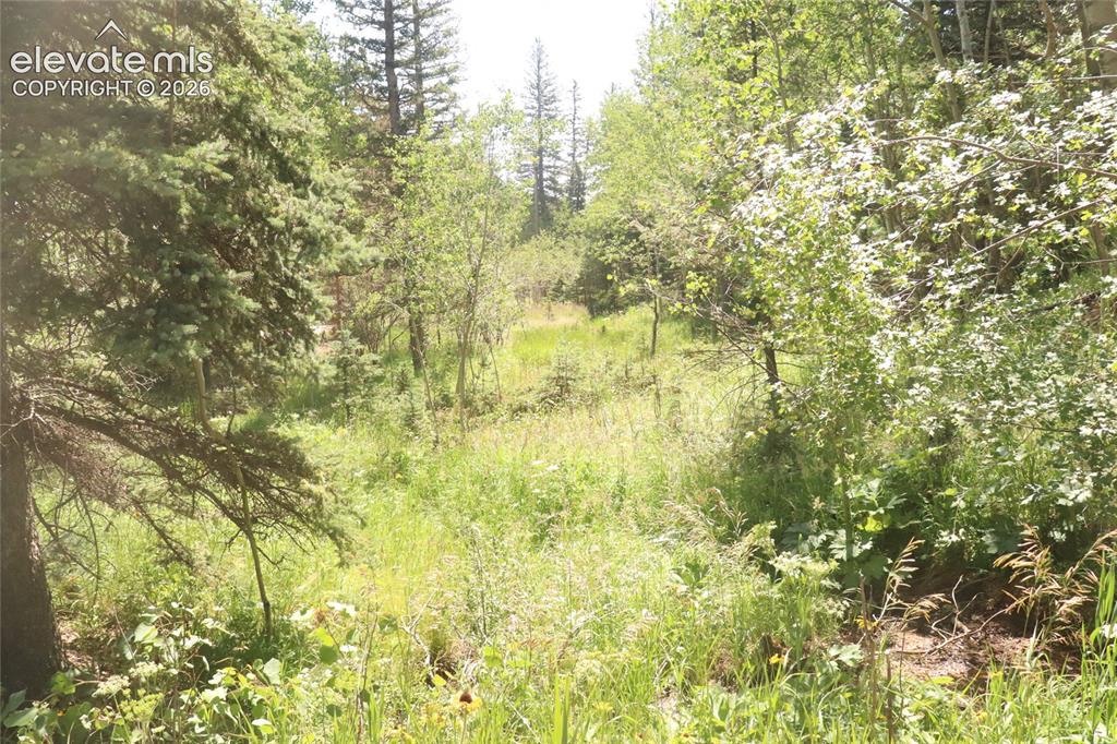 286 Coffee Road Manitou Springs CO 80829