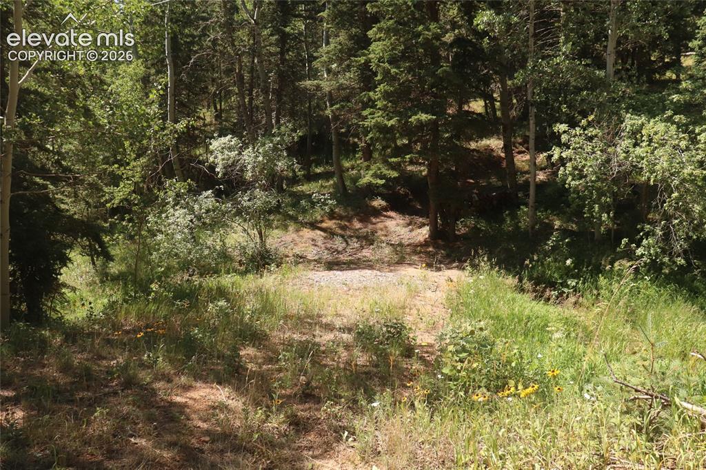286 Coffee Road Manitou Springs CO 80829
