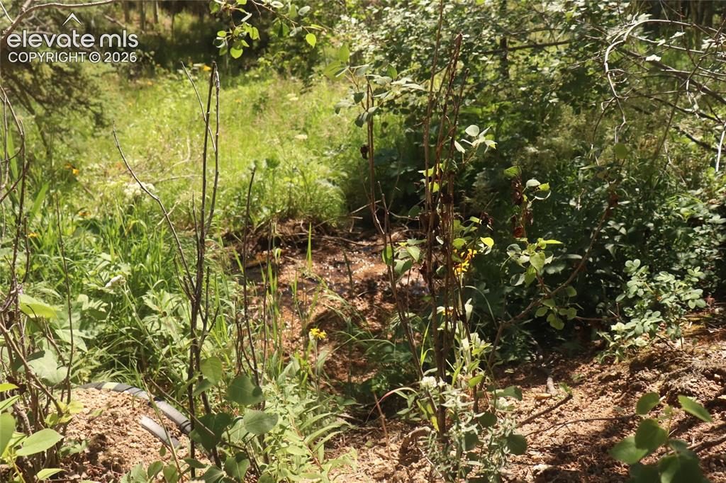 286 Coffee Road Manitou Springs CO 80829