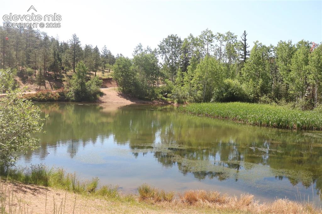 286 Coffee Road Manitou Springs CO 80829