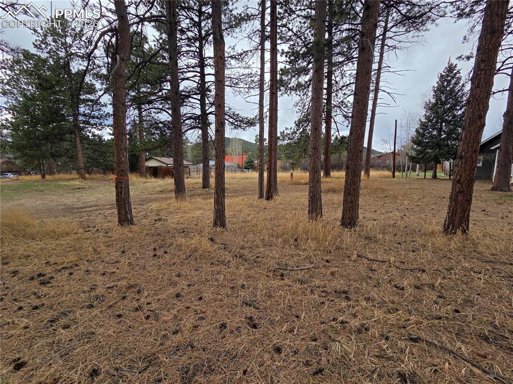 224 S Fairview Street Woodland Park CO 80863