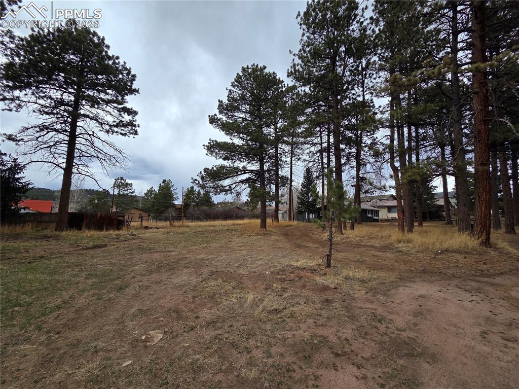 224 S Fairview Street Woodland Park CO 80863