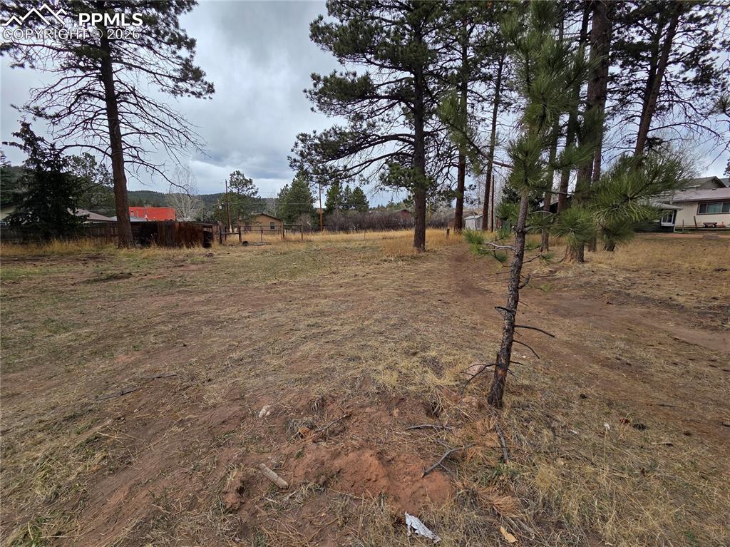 224 S Fairview Street Woodland Park CO 80863