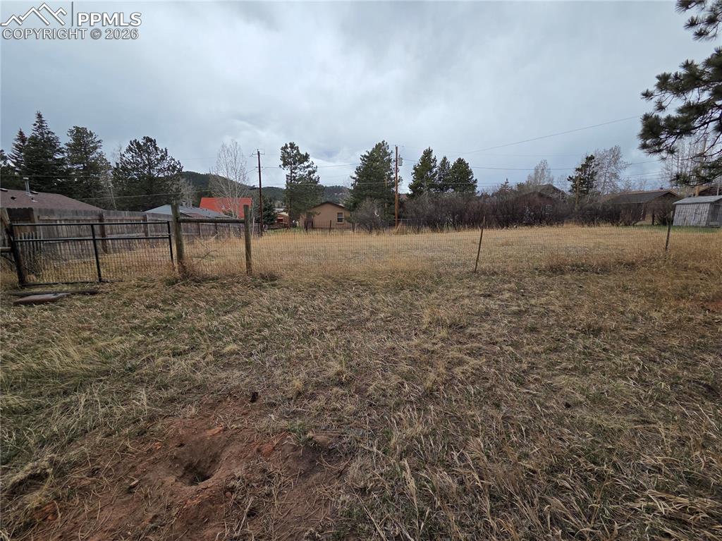 224 S Fairview Street Woodland Park CO 80863