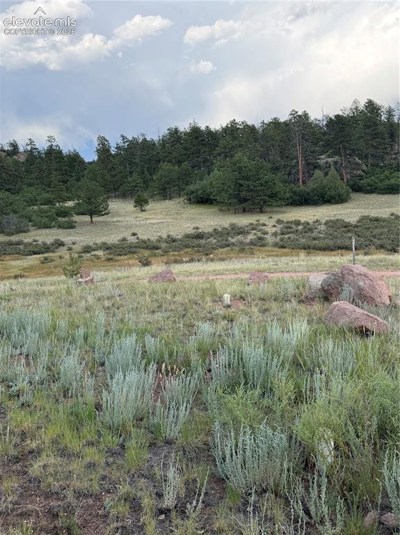 204 Pike View Lane Florissant CO 80816