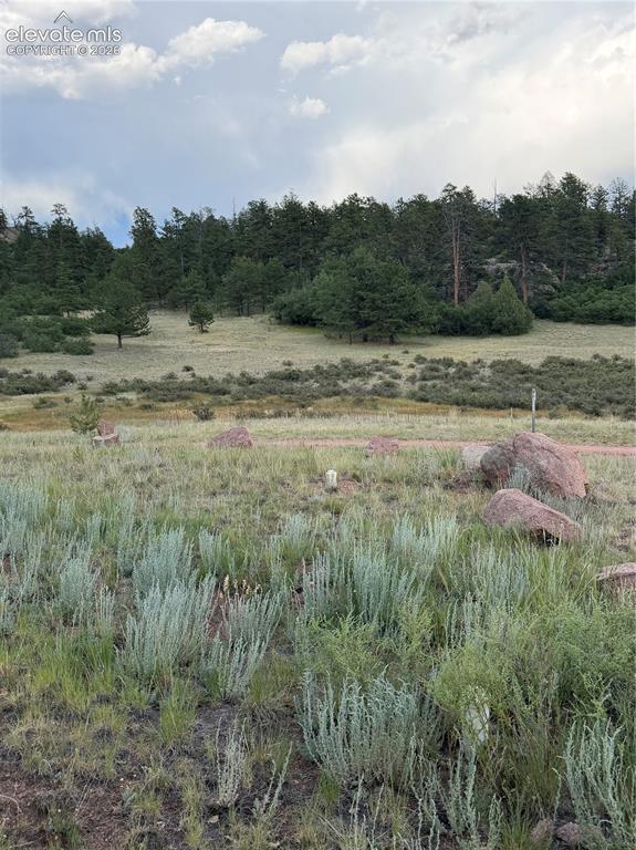 204 Pike View Lane Florissant CO 80816