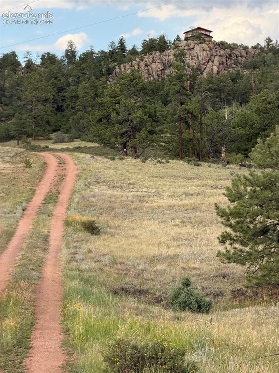 204 Pike View Lane Florissant CO 80816