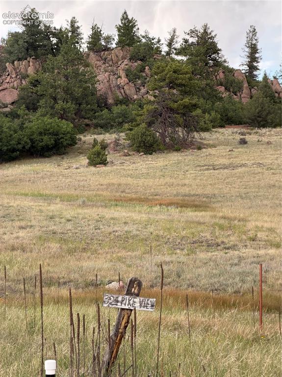 204 Pike View Lane Florissant CO 80816