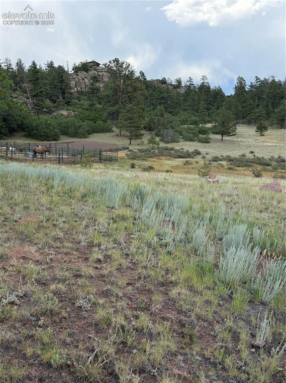 204 Pike View Lane Florissant CO 80816
