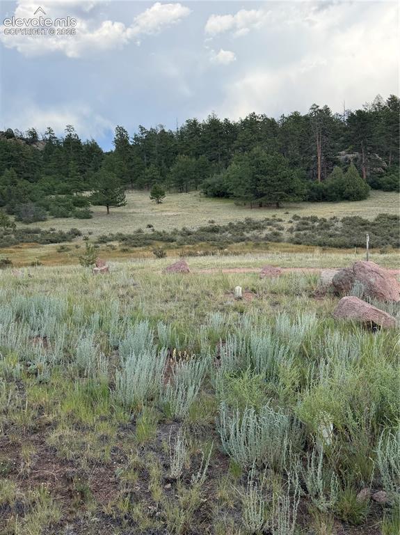 204 Pike View Lane Florissant CO 80816