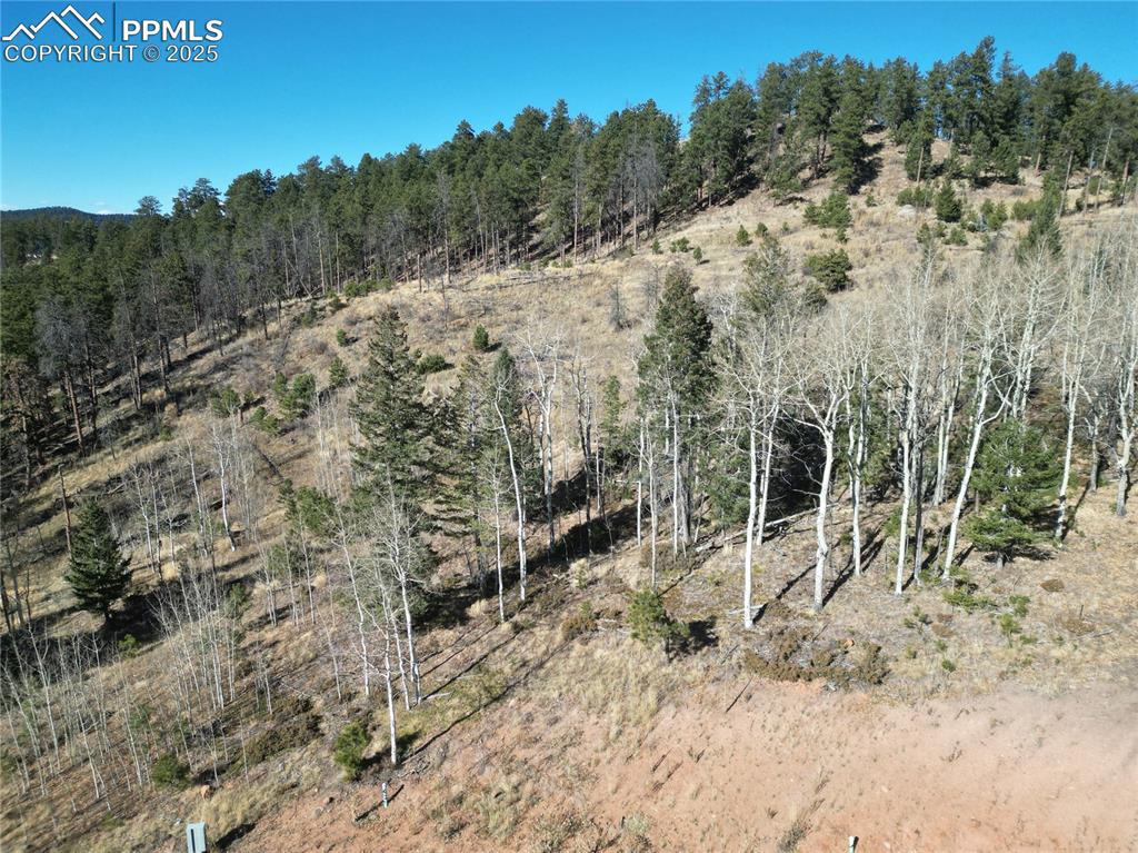 1370 Blue Haven Place Woodland Park CO 80863
