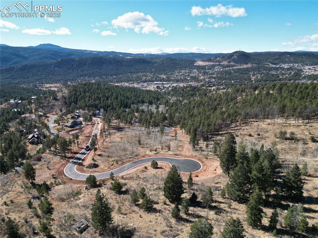 1370 Blue Haven Place Woodland Park CO 80863