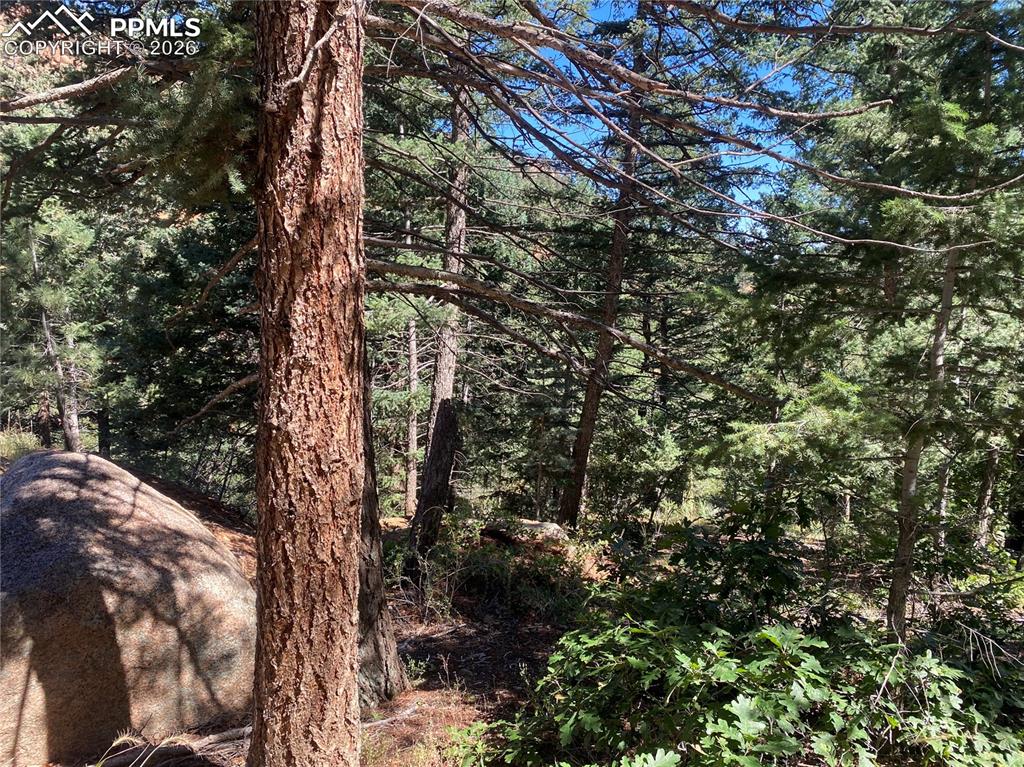 231 Upper Sun Valley Road Manitou Springs CO 80829