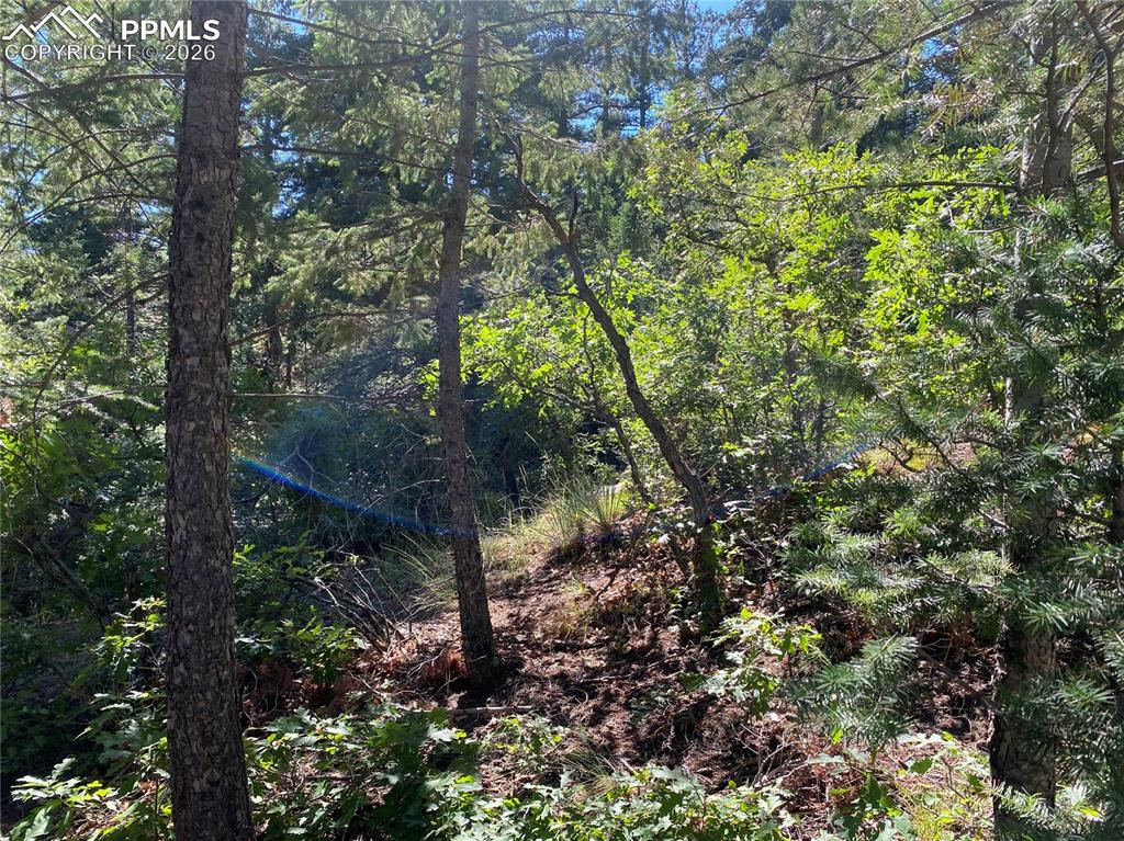 231 Upper Sun Valley Road Manitou Springs CO 80829