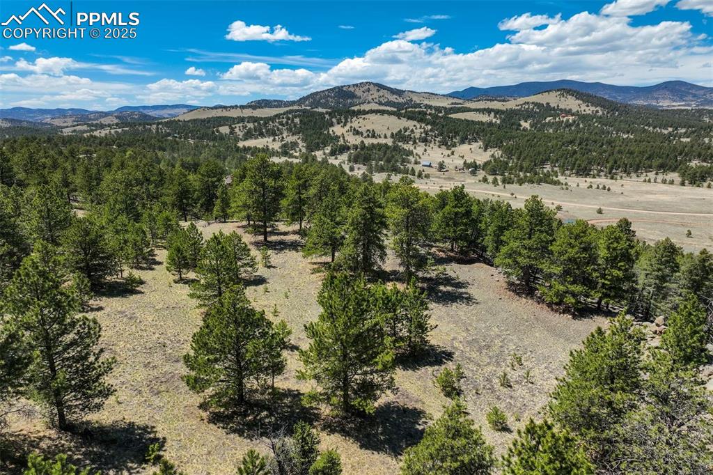 128 Nancy Ann Arroyo Guffey CO 80820