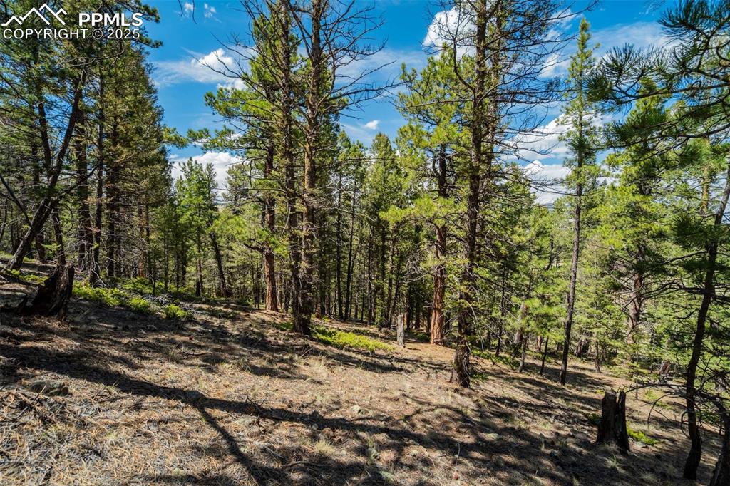 128 Nancy Ann Arroyo Guffey CO 80820
