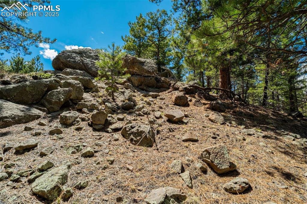 128 Nancy Ann Arroyo Guffey CO 80820