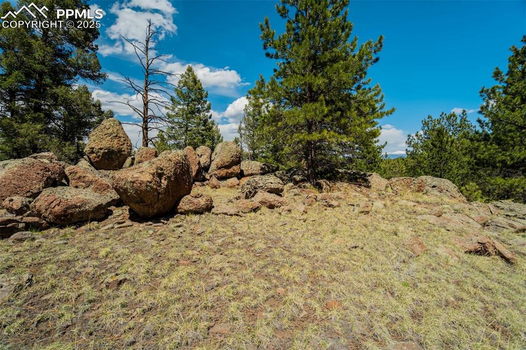 128 Nancy Ann Arroyo Guffey CO 80820