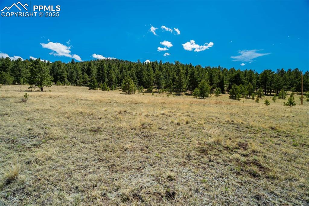 128 Nancy Ann Arroyo Guffey CO 80820