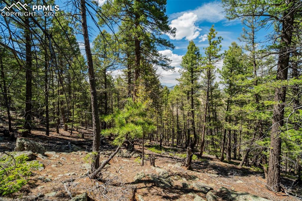 128 Nancy Ann Arroyo Guffey CO 80820