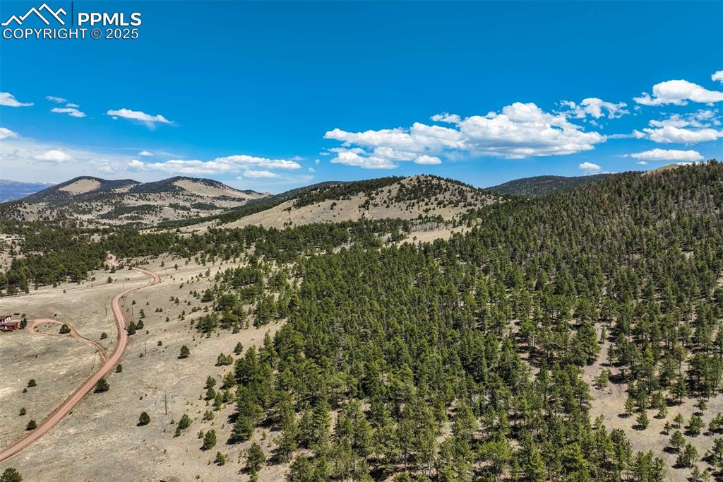 128 Nancy Ann Arroyo Guffey CO 80820