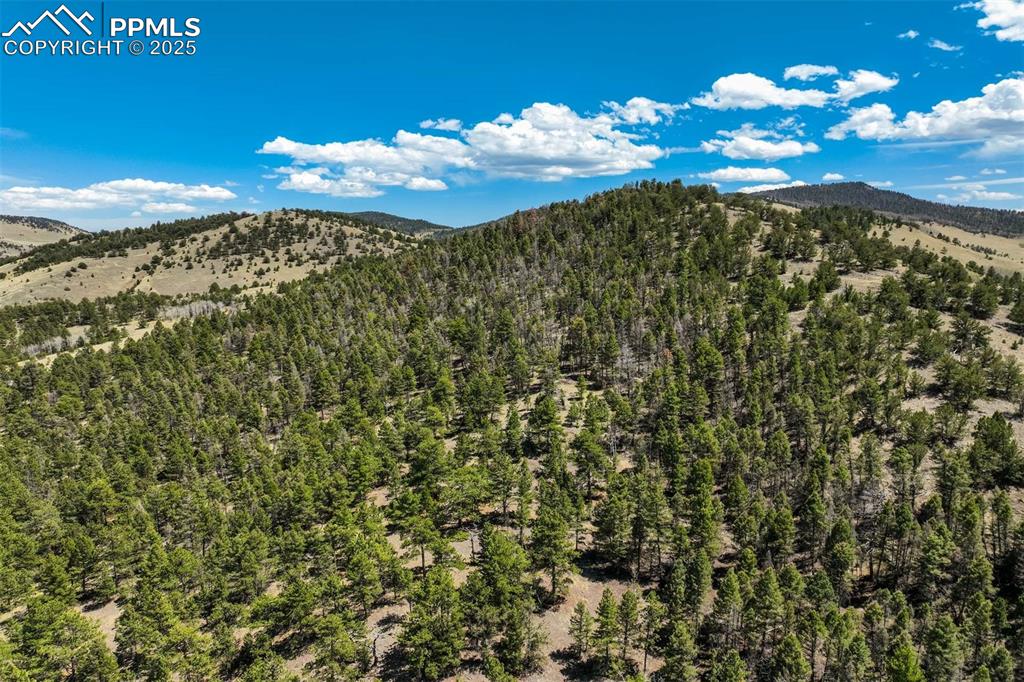 128 Nancy Ann Arroyo Guffey CO 80820
