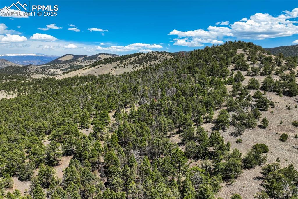 128 Nancy Ann Arroyo Guffey CO 80820