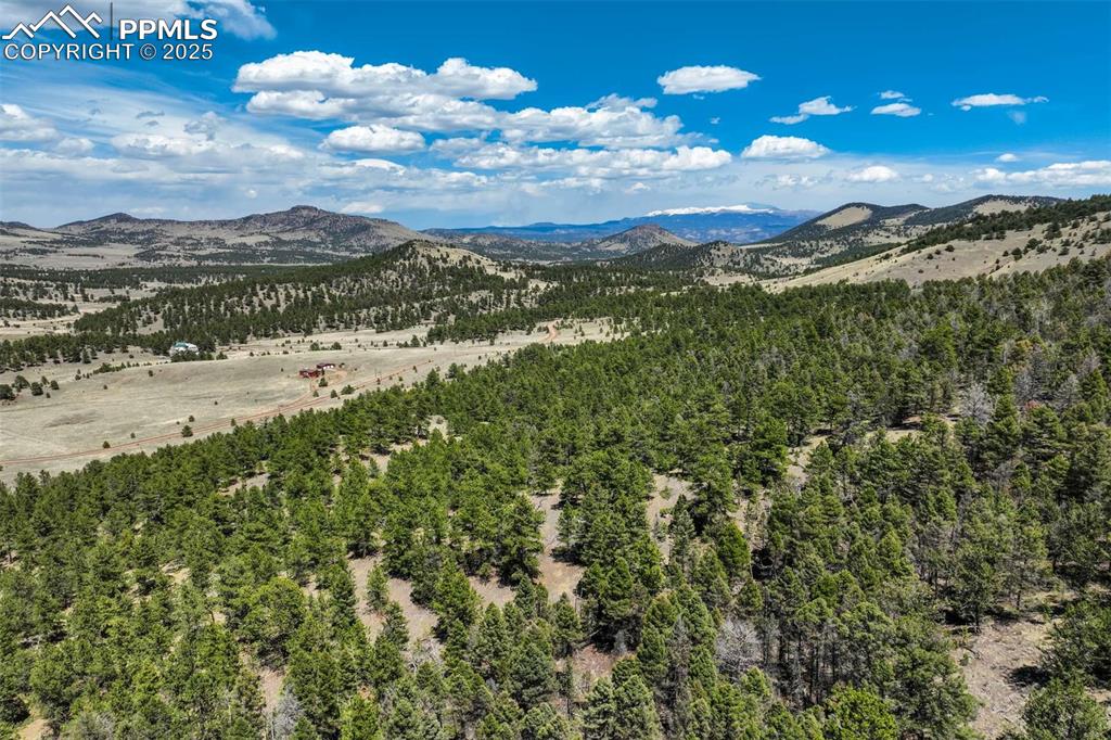 128 Nancy Ann Arroyo Guffey CO 80820