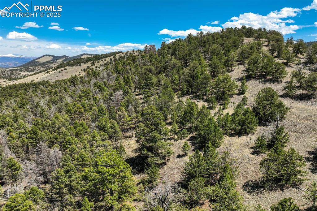 128 Nancy Ann Arroyo Guffey CO 80820