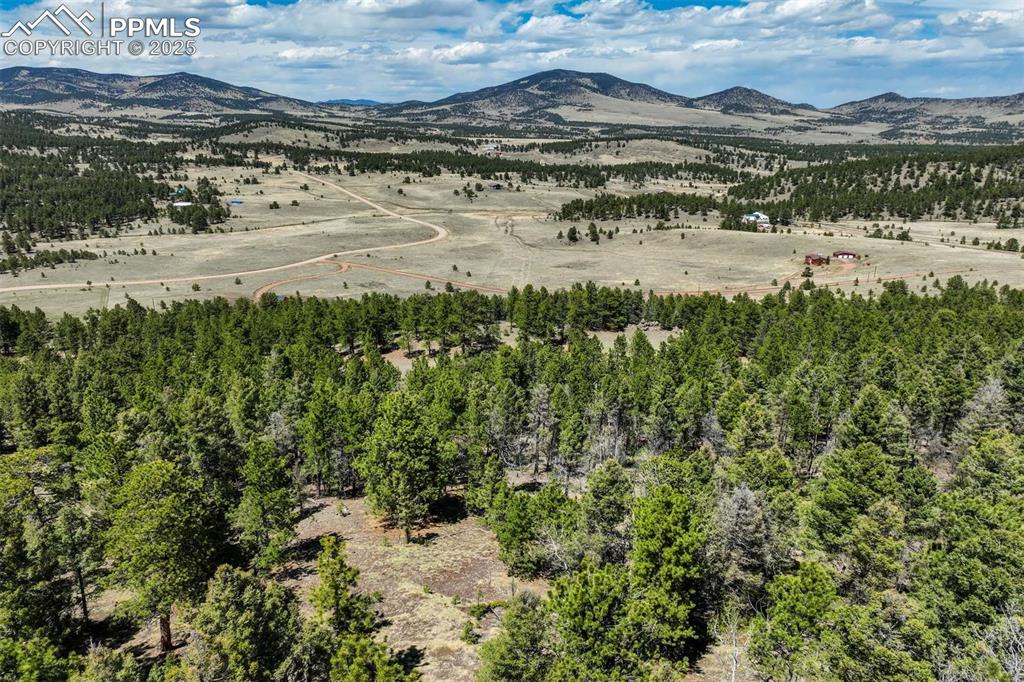 128 Nancy Ann Arroyo Guffey CO 80820