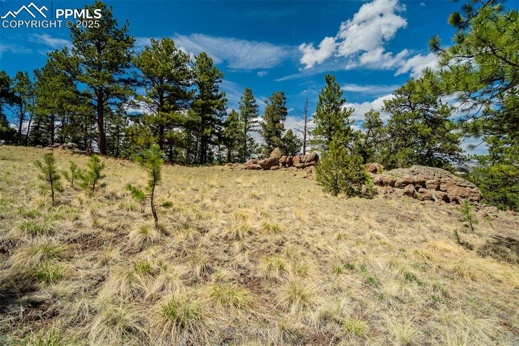 128 Nancy Ann Arroyo Guffey CO 80820