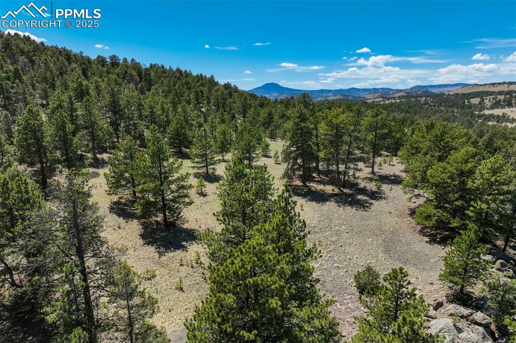 128 Nancy Ann Arroyo Guffey CO 80820