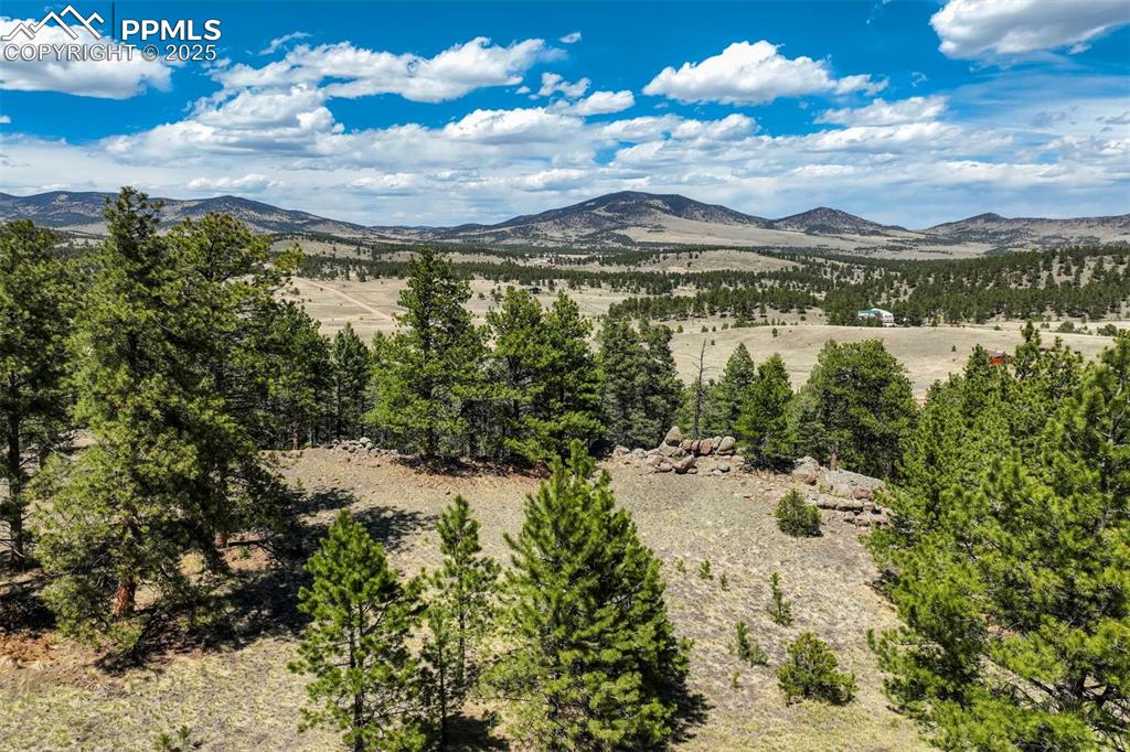 128 Nancy Ann Arroyo Guffey CO 80820