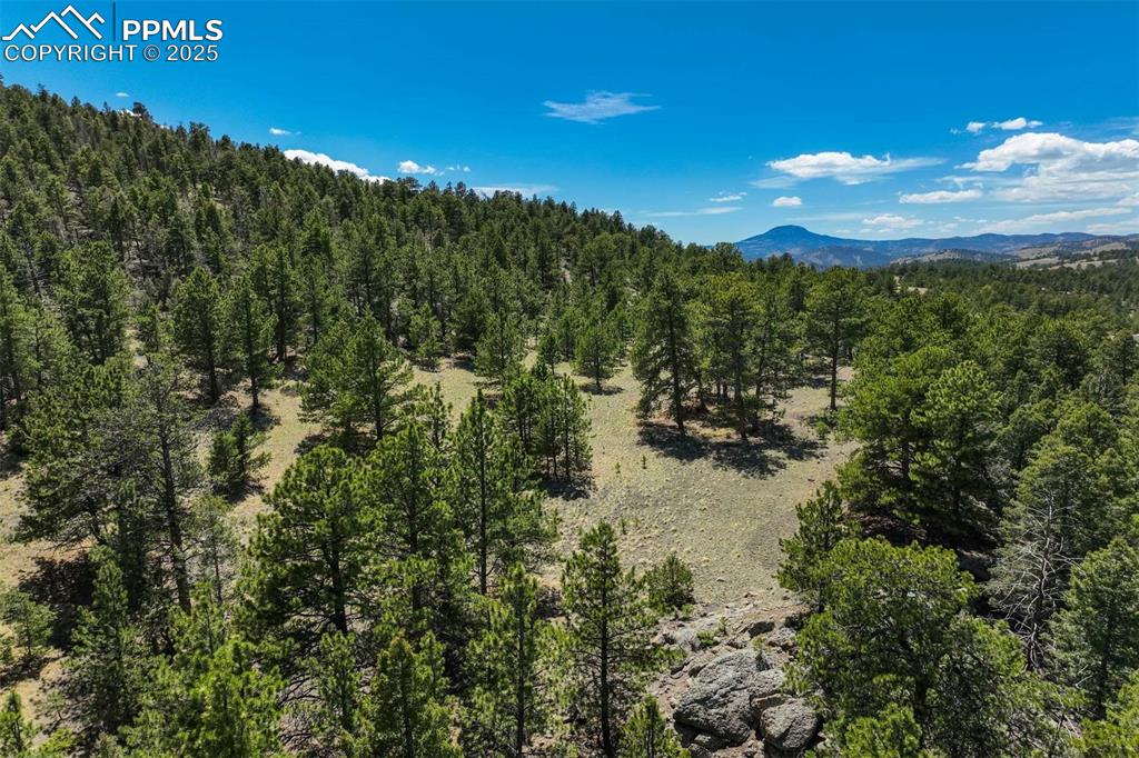 128 Nancy Ann Arroyo Guffey CO 80820