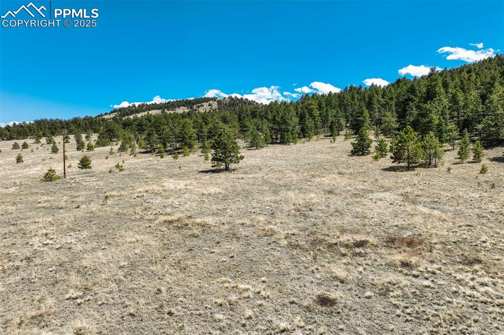 128 Nancy Ann Arroyo Guffey CO 80820