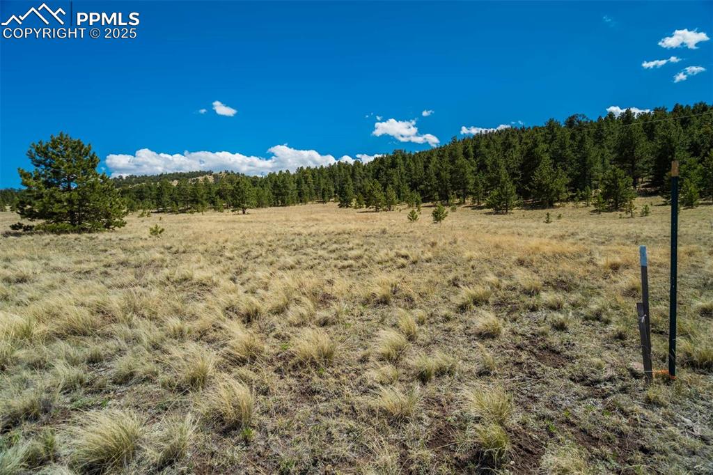 128 Nancy Ann Arroyo Guffey CO 80820