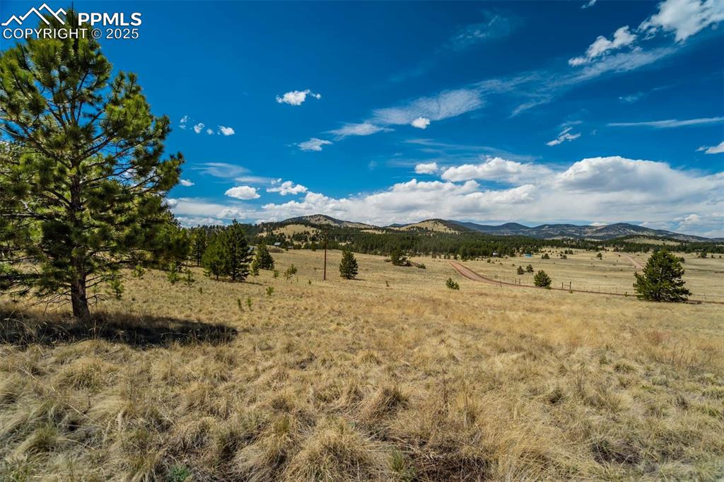 128 Nancy Ann Arroyo Guffey CO 80820