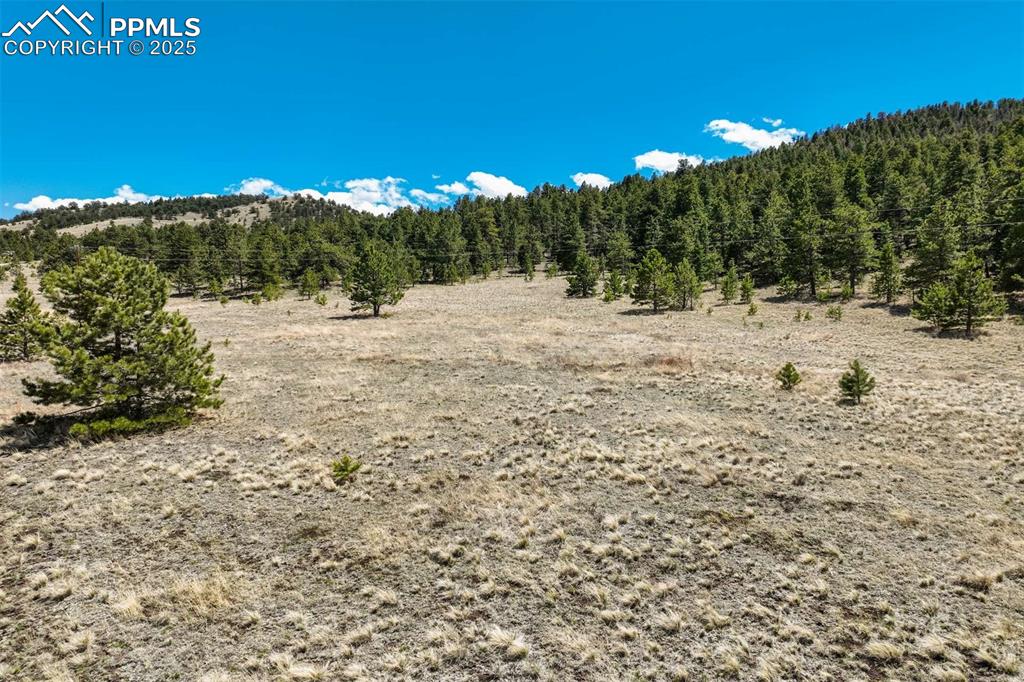 128 Nancy Ann Arroyo Guffey CO 80820
