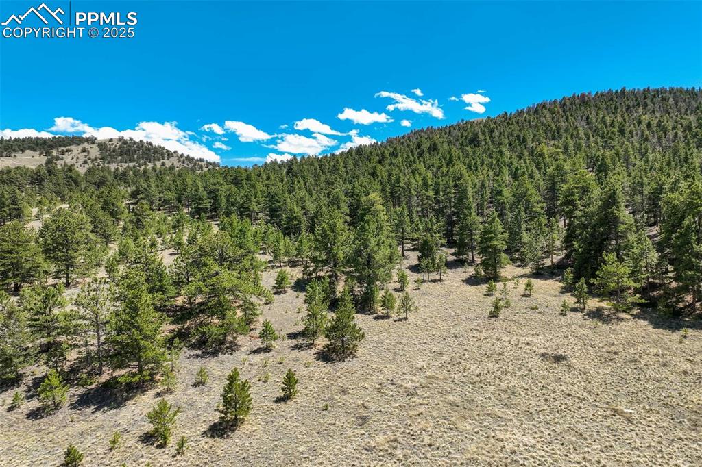 128 Nancy Ann Arroyo Guffey CO 80820