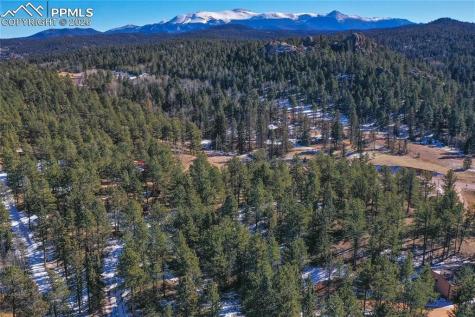 683 Kingston Drive Florissant CO 80816