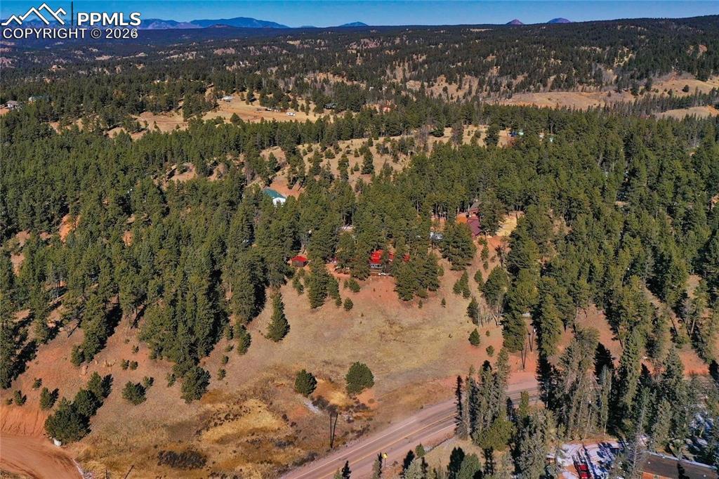 683 Kingston Drive Florissant CO 80816