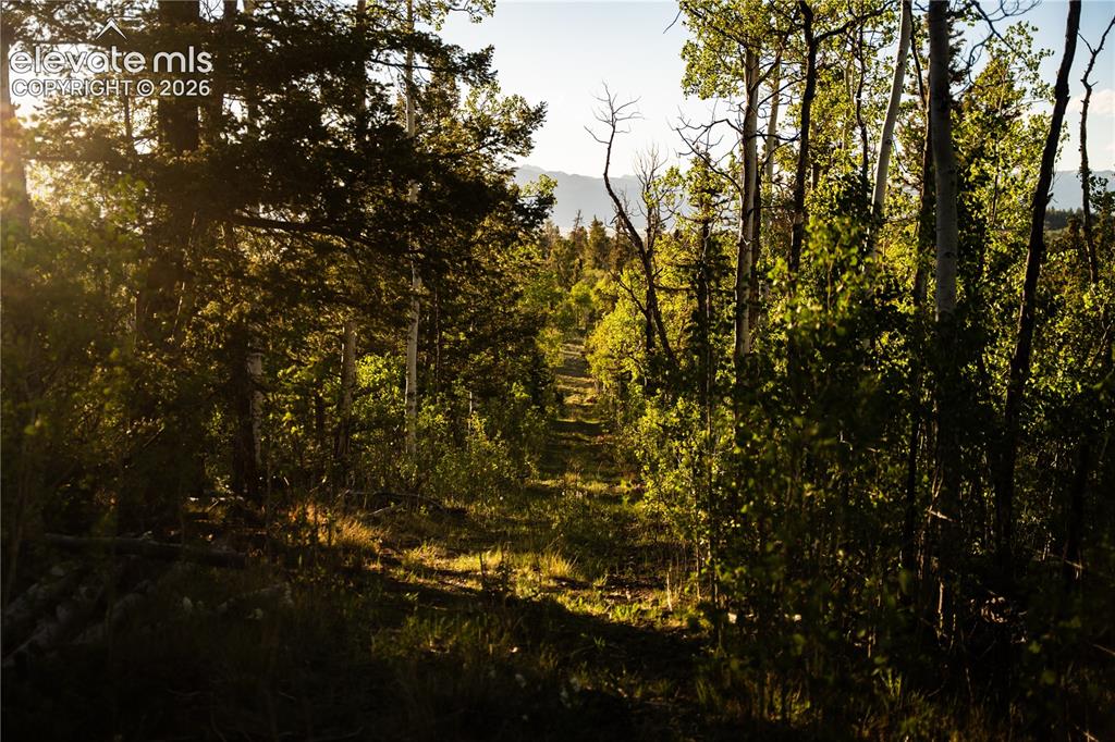 1280 Antler Ridge Road Como CO 80432