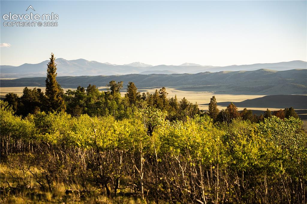 1280 Antler Ridge Road Como CO 80432