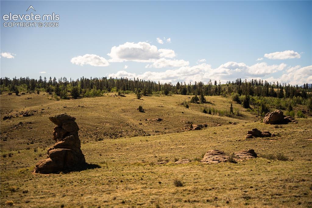 1280 Antler Ridge Road Como CO 80432