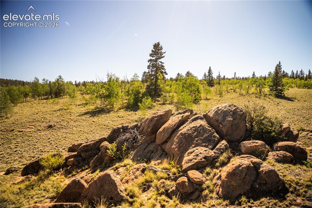 1280 Antler Ridge Road Como CO 80432