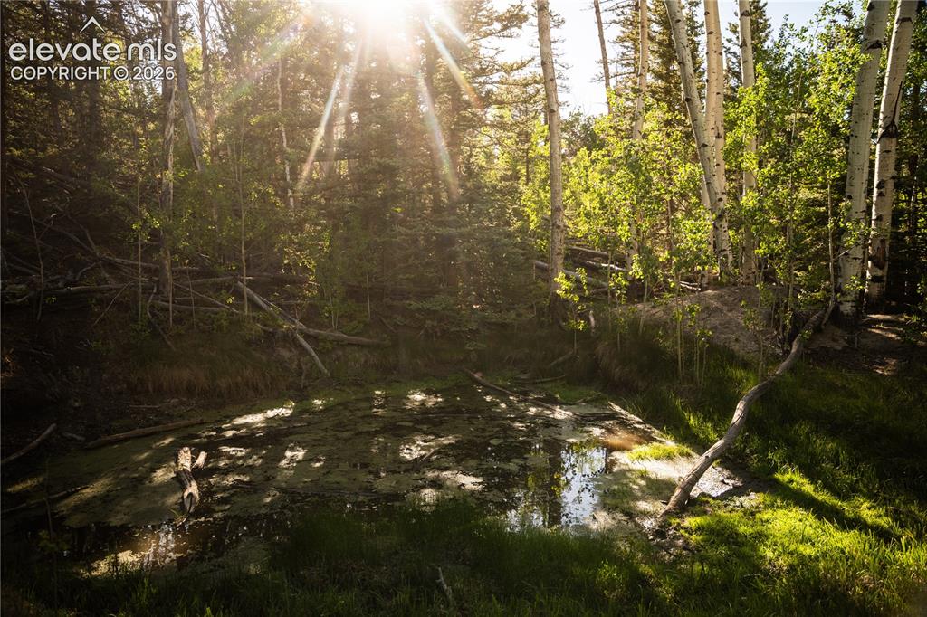 1280 Antler Ridge Road Como CO 80432